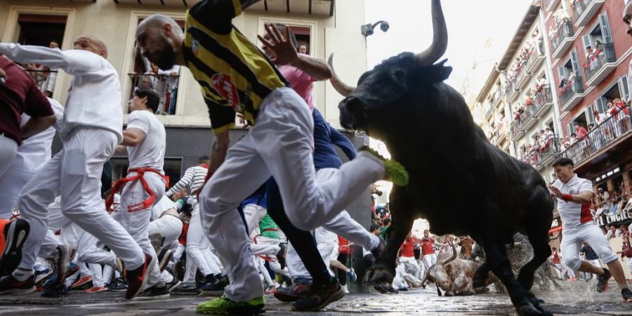 Sanfermines Stierhatz in Pamplona