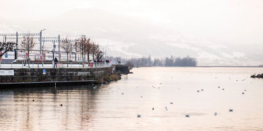 Winterliche Abendstimmung am See-Quai von Rapperswil. - Rapperswil-Jona