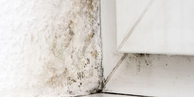 Das Ergebnis falschen Heiz- und Lüftverhaltens? Diese Frage ist entscheidend, wenn es darum geht, wer in der Mietwohnung für die Beseitigung des Schadens zahlt. Das Ergebnis falschen Heiz- und Lüftverhaltens? Diese Frage ist entscheidend, wenn es darum geht, wer in der Mietwohnung für die Beseitigung des Schadens zahlt.