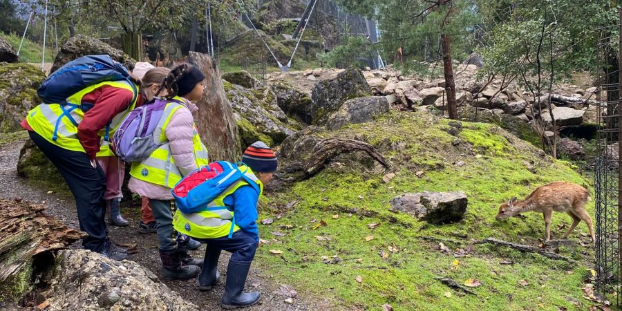 Kinder im Tierpark-Kindergarten