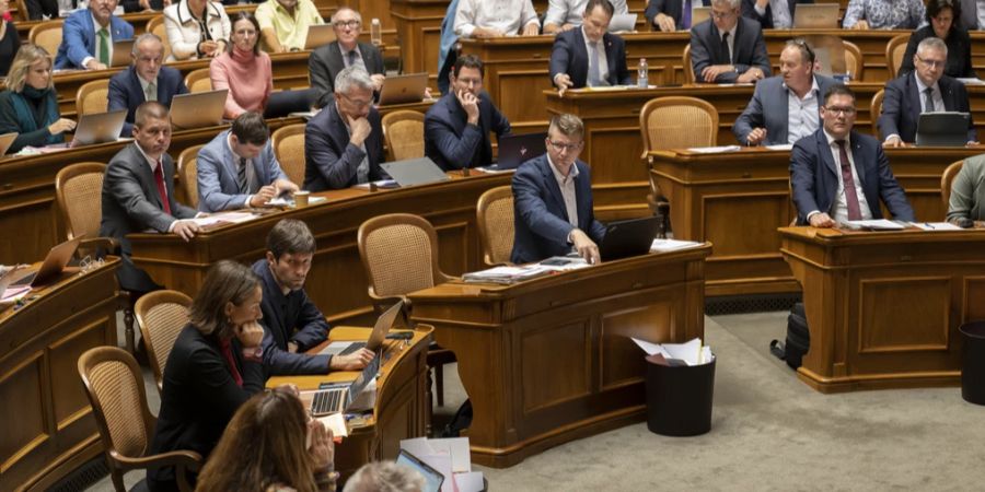 Parlamentarier in Aktion