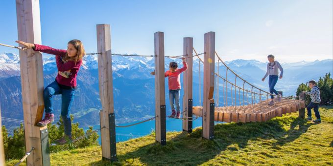 Das Niederhorn am Thunersee ist ein echtes Wander- und Erlebnisparadies. Ausflugstipps Schweiz Familien Ausflugstipp