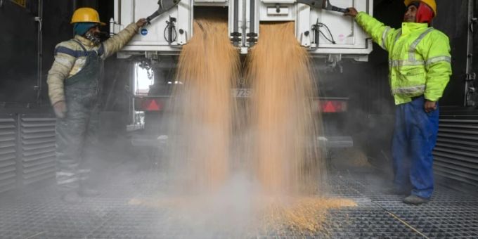 Tödlicher Unfall - Mann auf deutschem Bauernhof unter Mais begraben
