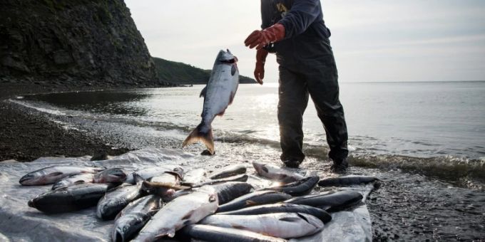 In Alaska - US-Umweltbehörde stoppt Gold- und Kupferminenprojekt