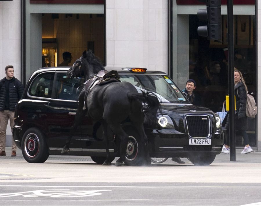 London