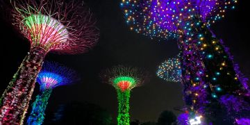 Supertrees