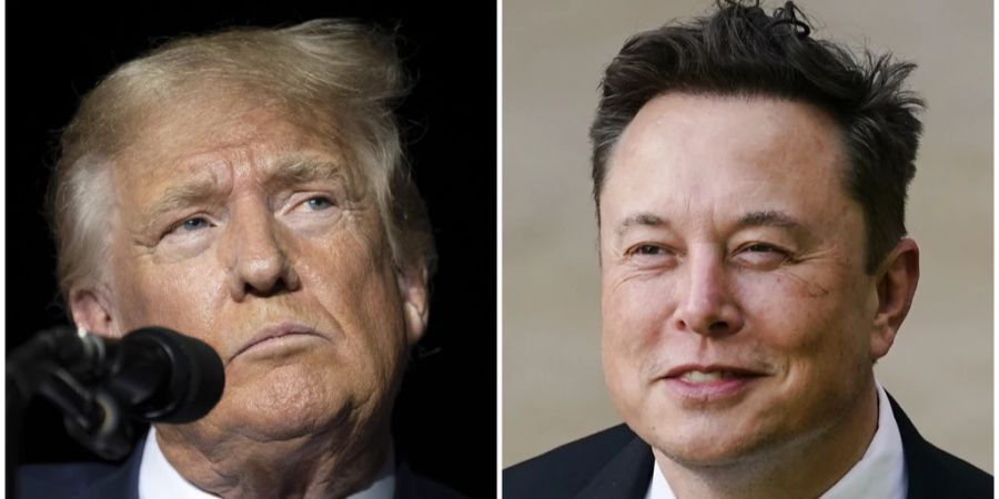 Donald Trump Elon Musk