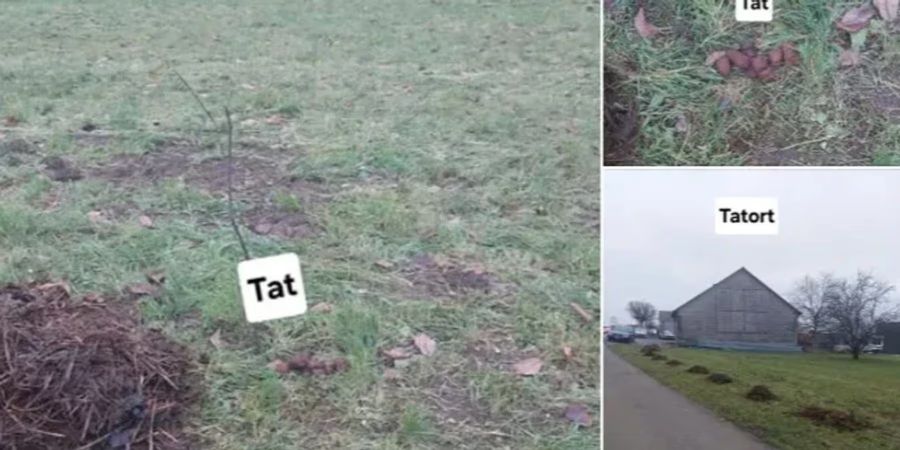 Ywan Schürmann aus Egerkingen SO regte sich über einen Hundehalter auf, der die Exkremente seines Vierbeiners auf einer landwirtschaftlich genutzten Wiese liegen liess.