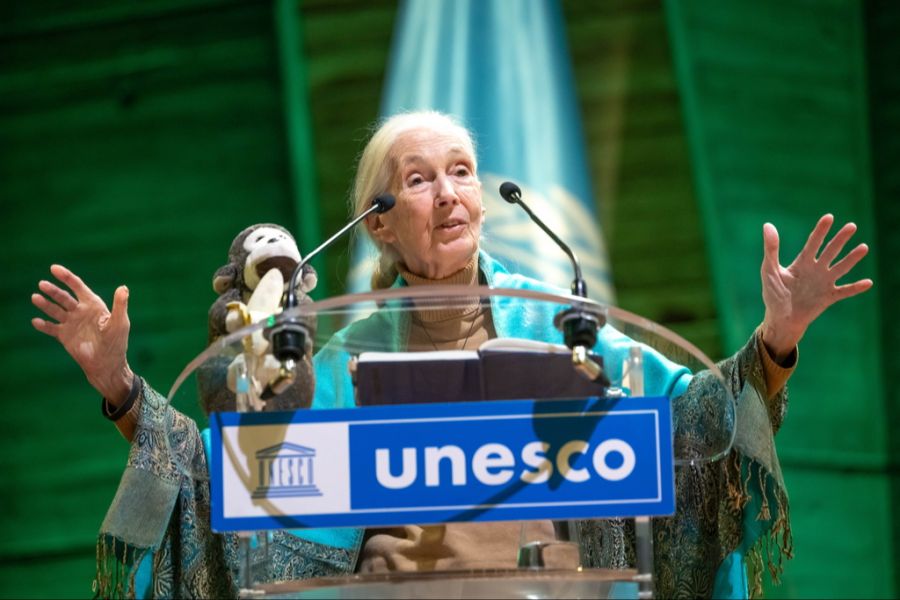 Jane Goodall