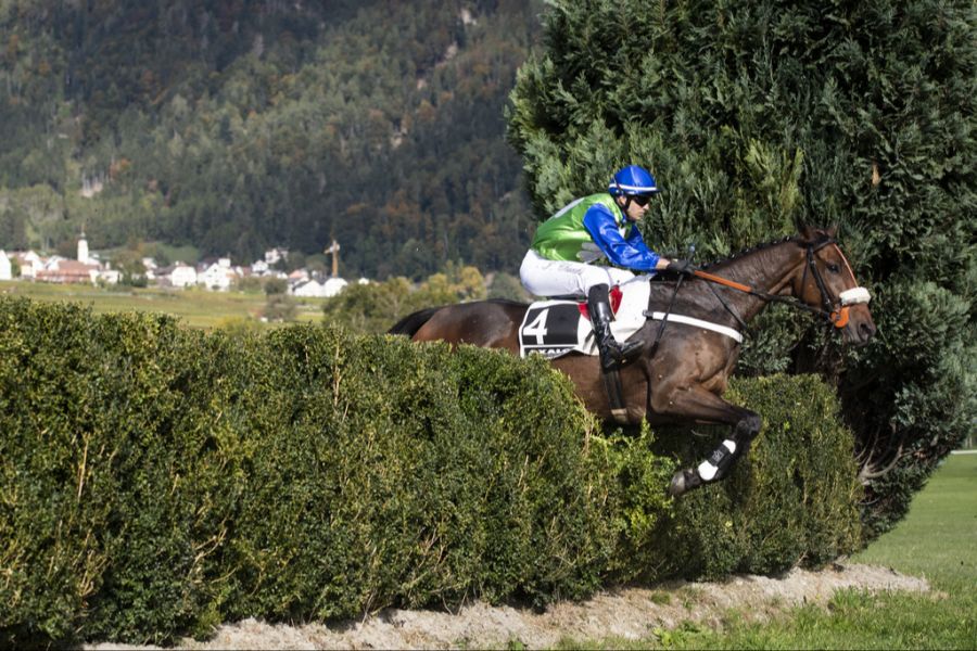 Pferderennen Maienfeld Tier gestürzt
