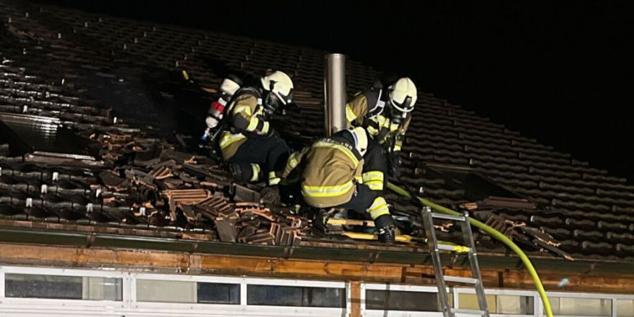 Angehörige der Feuerwehren Günsberg und Solothurn standen im Einsatz.