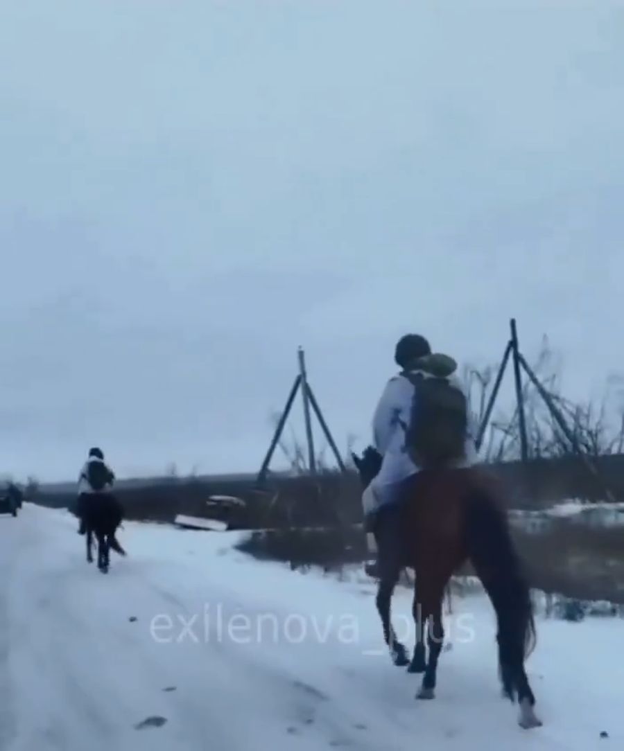 Ein Kriegsanalyst hingegen sagt, die Tiere würden nur eingesetzt, weil sie günstiger seien als Fahrzeuge.