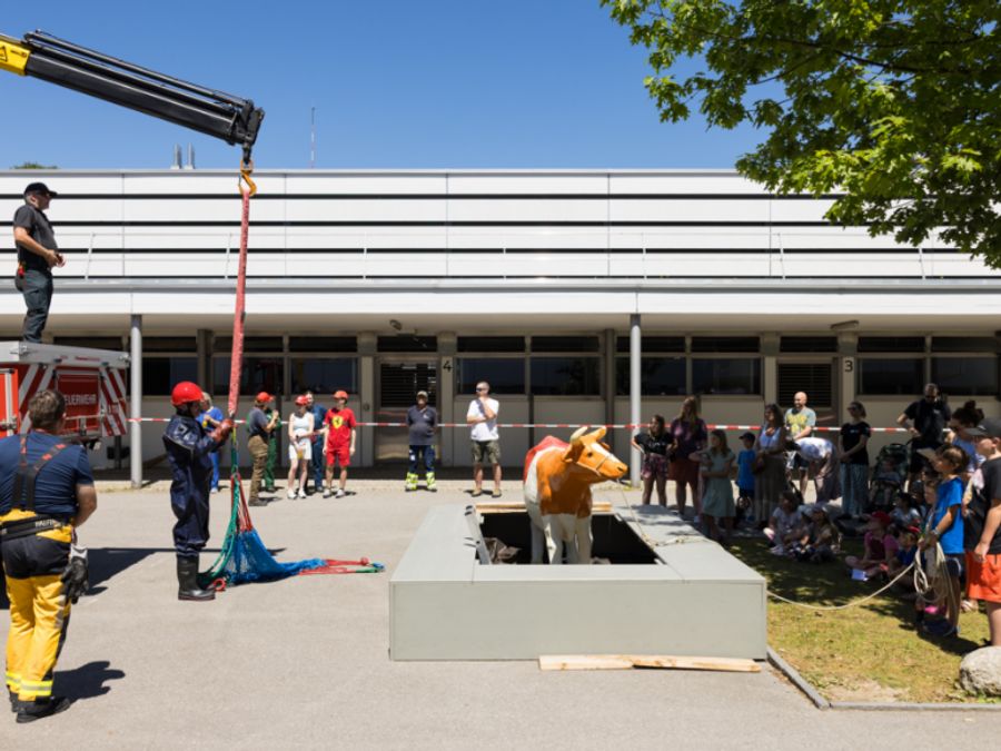 Universität Tierspital Bern