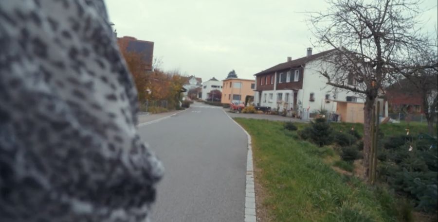 In Amriswil TG passierte der erste Fall eines Incel-Attentats in der Schweiz.