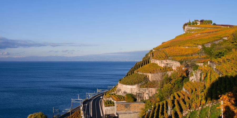 Im Lavaux Vinorama erfahren Sie alles über den lebendigen Alltag der Winzer aus der Region.