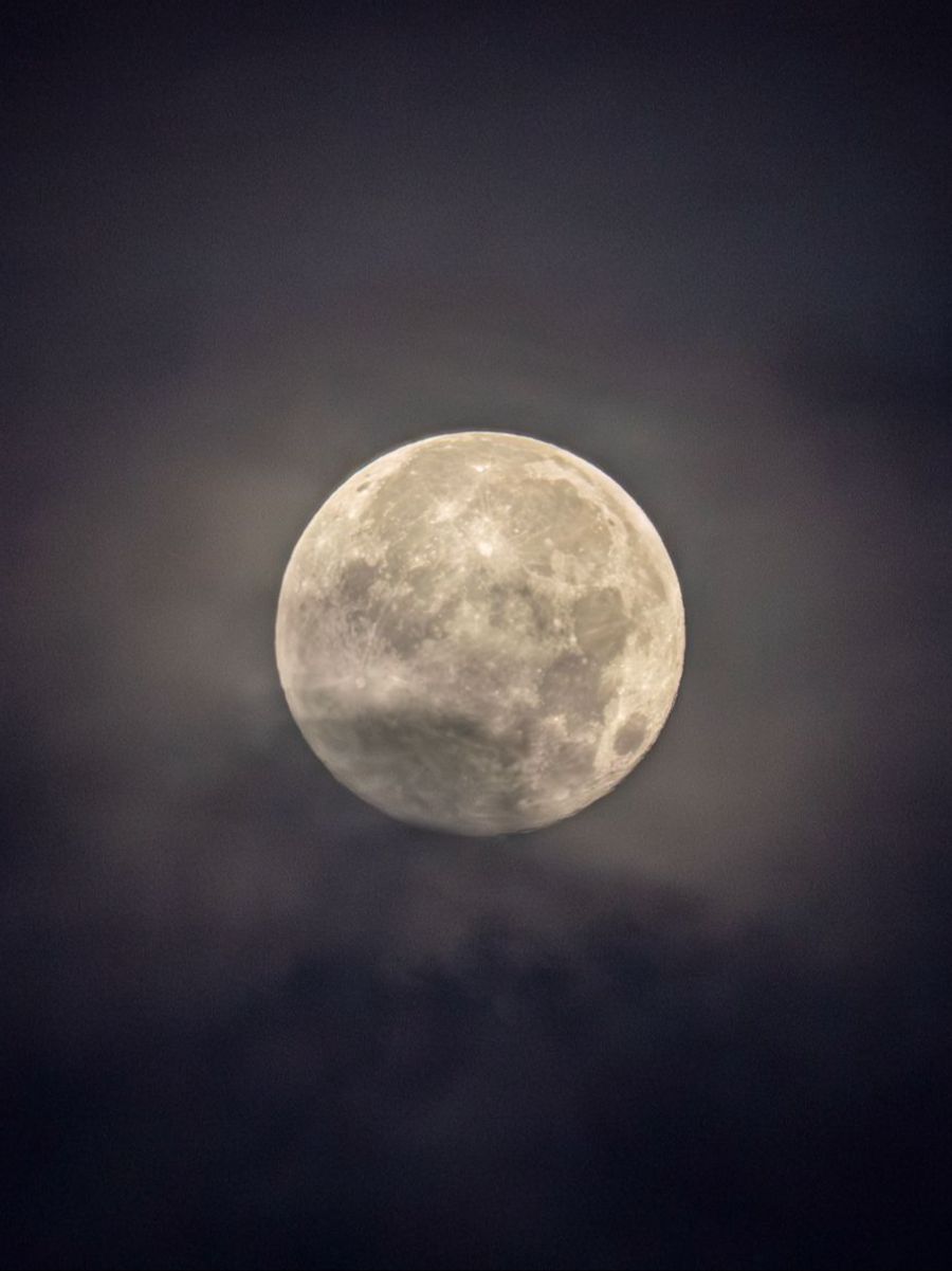 Der Vollmond erstrahlte letzte Nacht besonders gross.