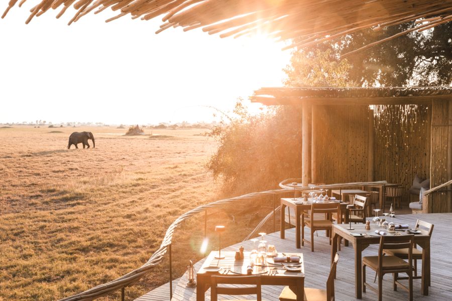 Mombo Lodge Wilderness, Okavanga-Delta, Elefant, Restaurant