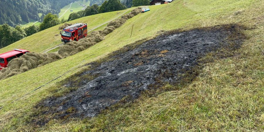 Brand von Wiesenbord.