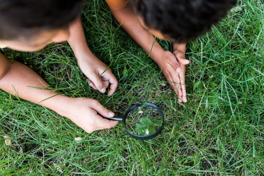 kinder spielen im gras mit lupe