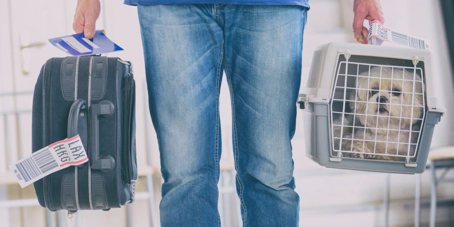 Mann mit Hund in Transportbox