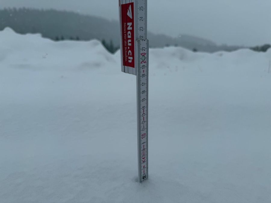 Heute Donnerstag sind einige Zentimeter Schnee gefallen.