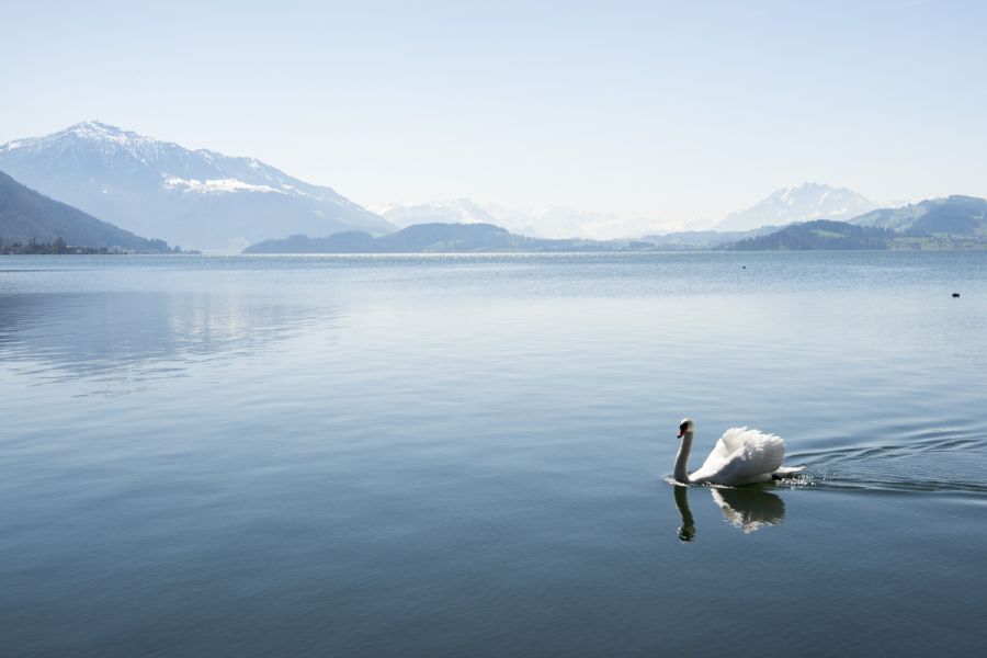 Hochdruck am Sonntag sorgt in Teilen des Landes für bis zu 15 Grad.