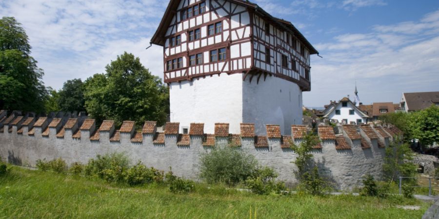 119 Schulklassen besuchten im vergangenen Jahr das Museum Burg Zug. (Archivaufnahme)