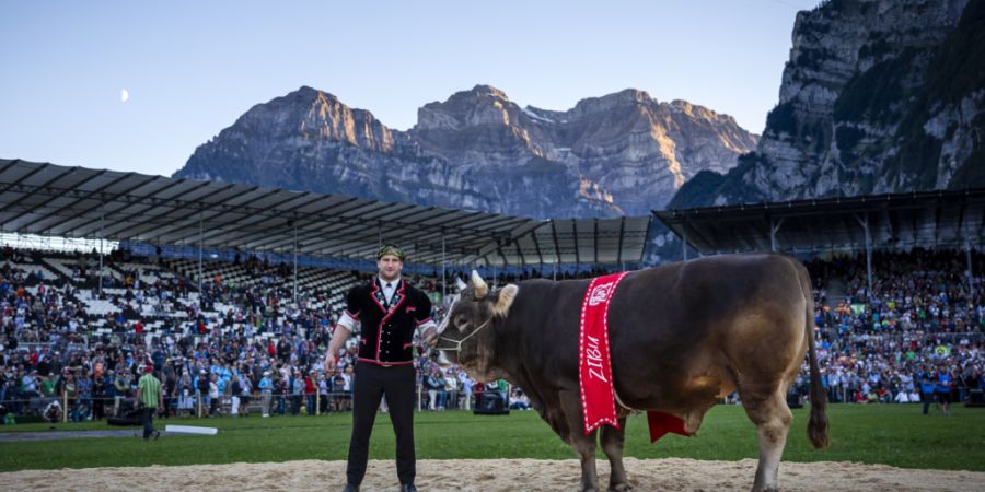 Das ESAF diesen Sommer in Mollis GL, das mit dem Triumph von Armon Orlik geendet hatte, schloss mit einem finanziell positiven Ergebnis ab.