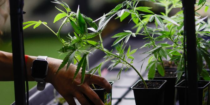 cdu parteitag Cannabis