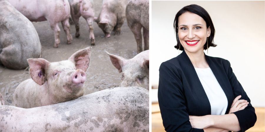 Mirjam Walser Kolumnistin