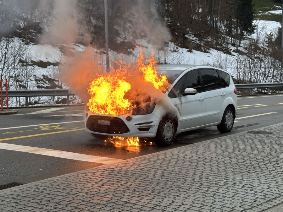 Die Insassen blieben unverletzt.