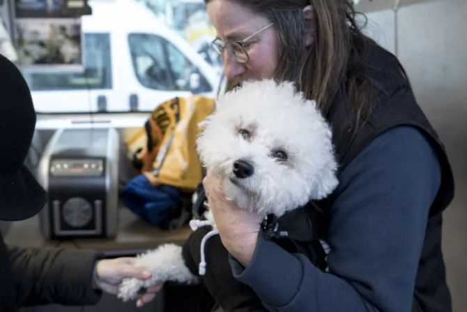 Gassentierarzt Zürich