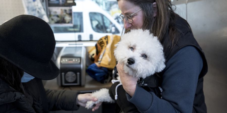 Gassentierarzt Zürich