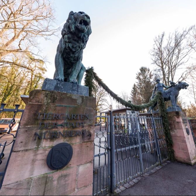 Zoo Nürnberg Vogelgrippe