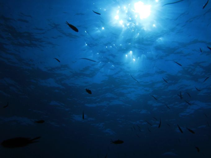 Im Mittelmeer, in 5'000 Metern Tiefe, haben Forscher einen Schockfund gemacht. (Symbolbild) metern tiefe mittelmeer schockfund