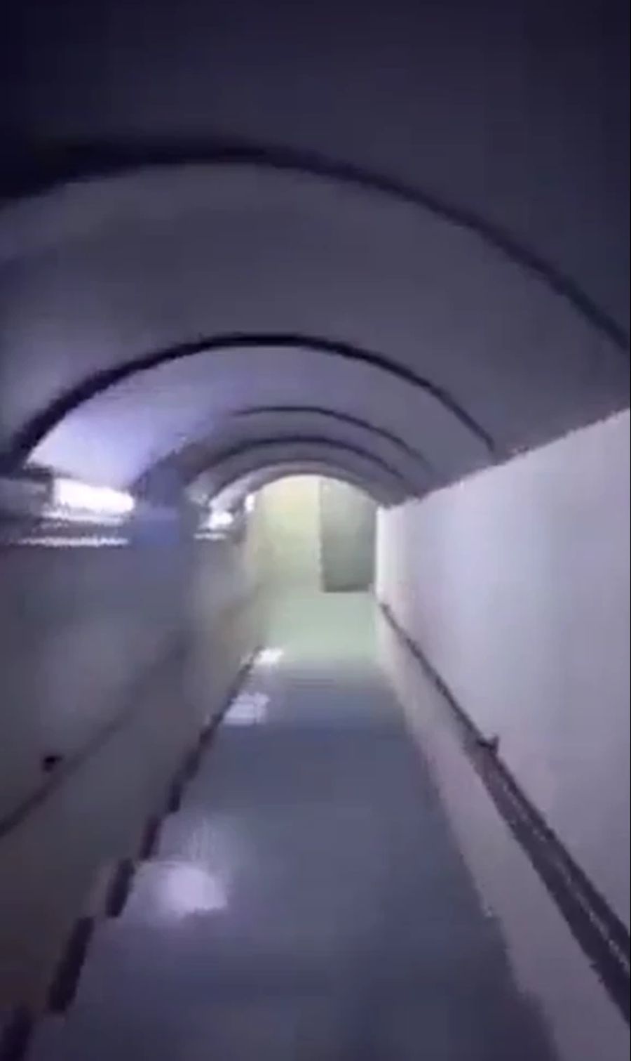 Entdeckt wurde der Fluchttunnel, als Assads Villa gestürmt wurde.