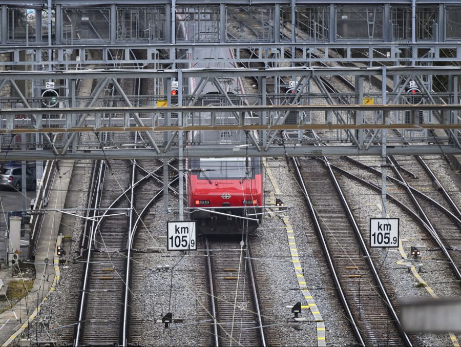 Klar ist für ihn: Allein verirrt sich eine Zecke kaum in einen trockenen Zugwaggon.