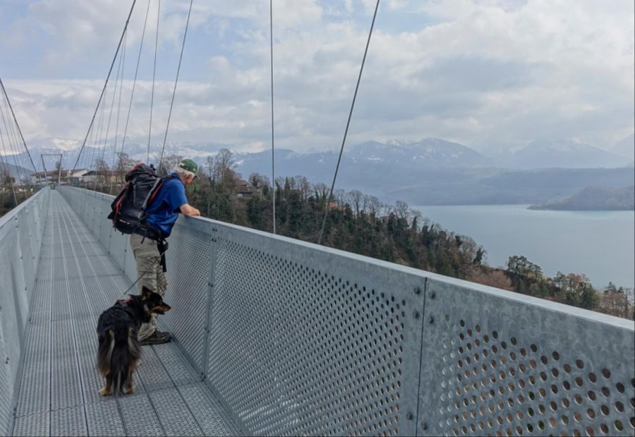 Auf der Hängebrücke von Sigriswil schweift der Blick über den Thunersee bis zu den Gipfeln der Berner Alpen.