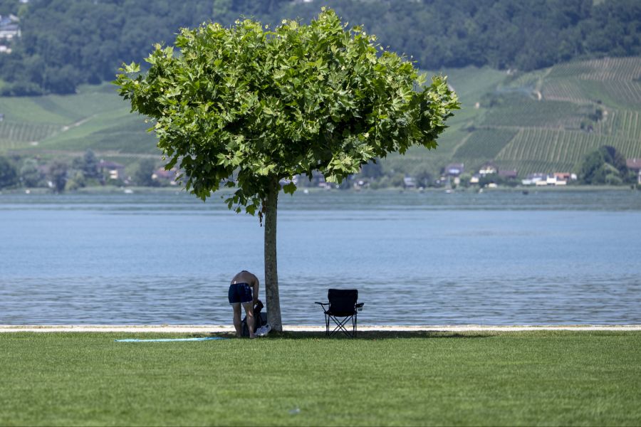Murtensee Wetter Hitze Schatten