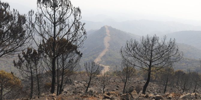 Waldbrand