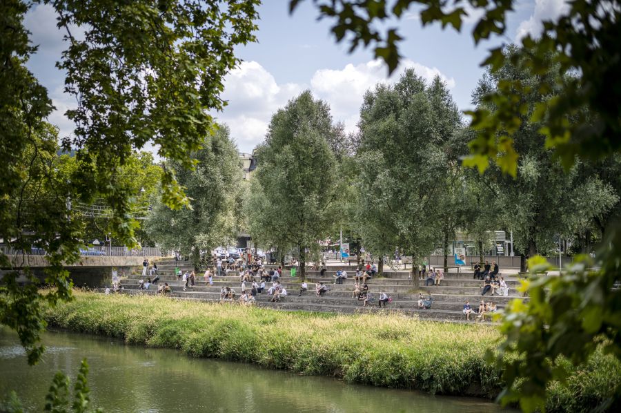 Bäume Stadt