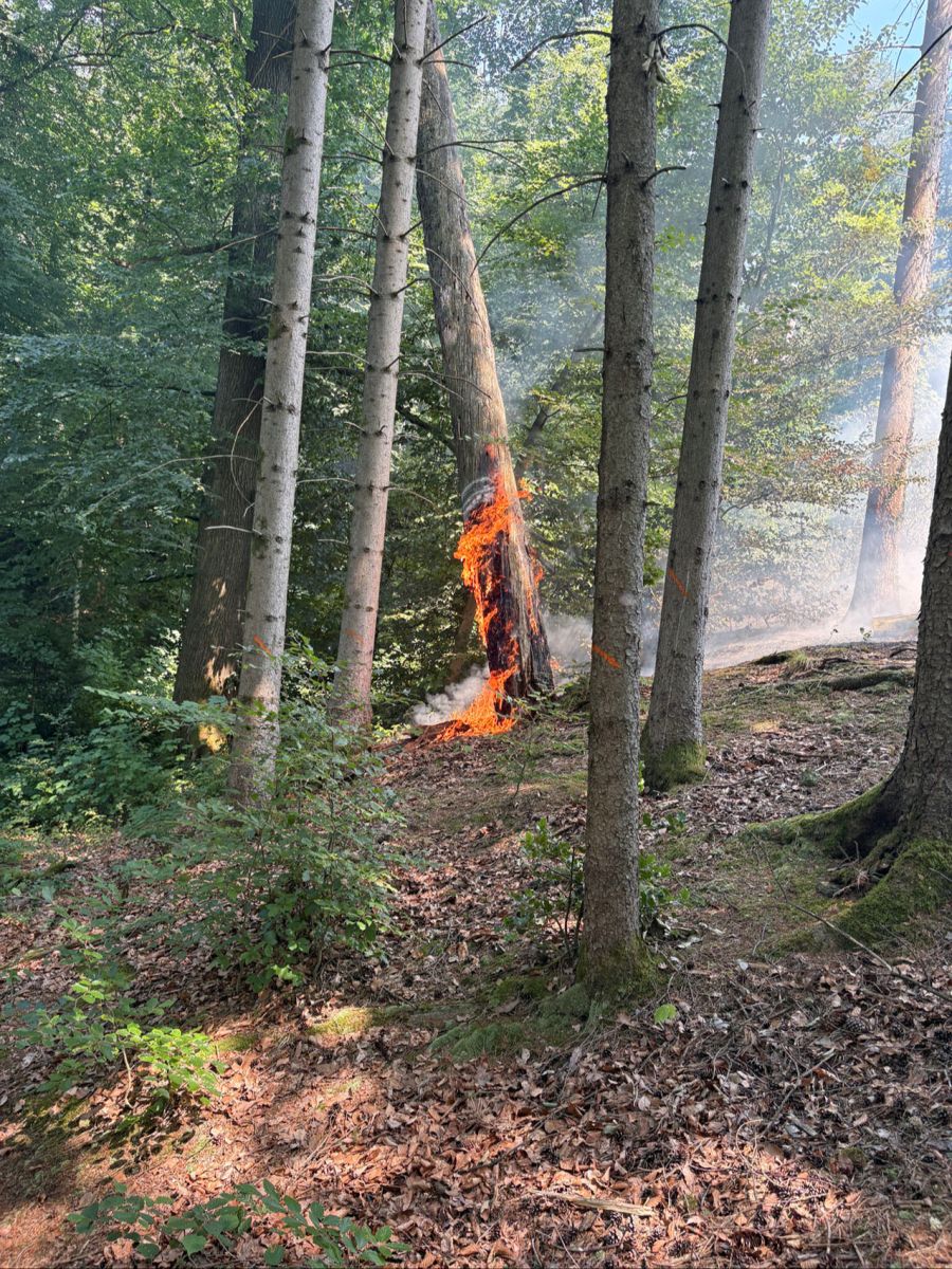 Brand Horw