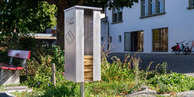 Pizza-Schachtel-Box