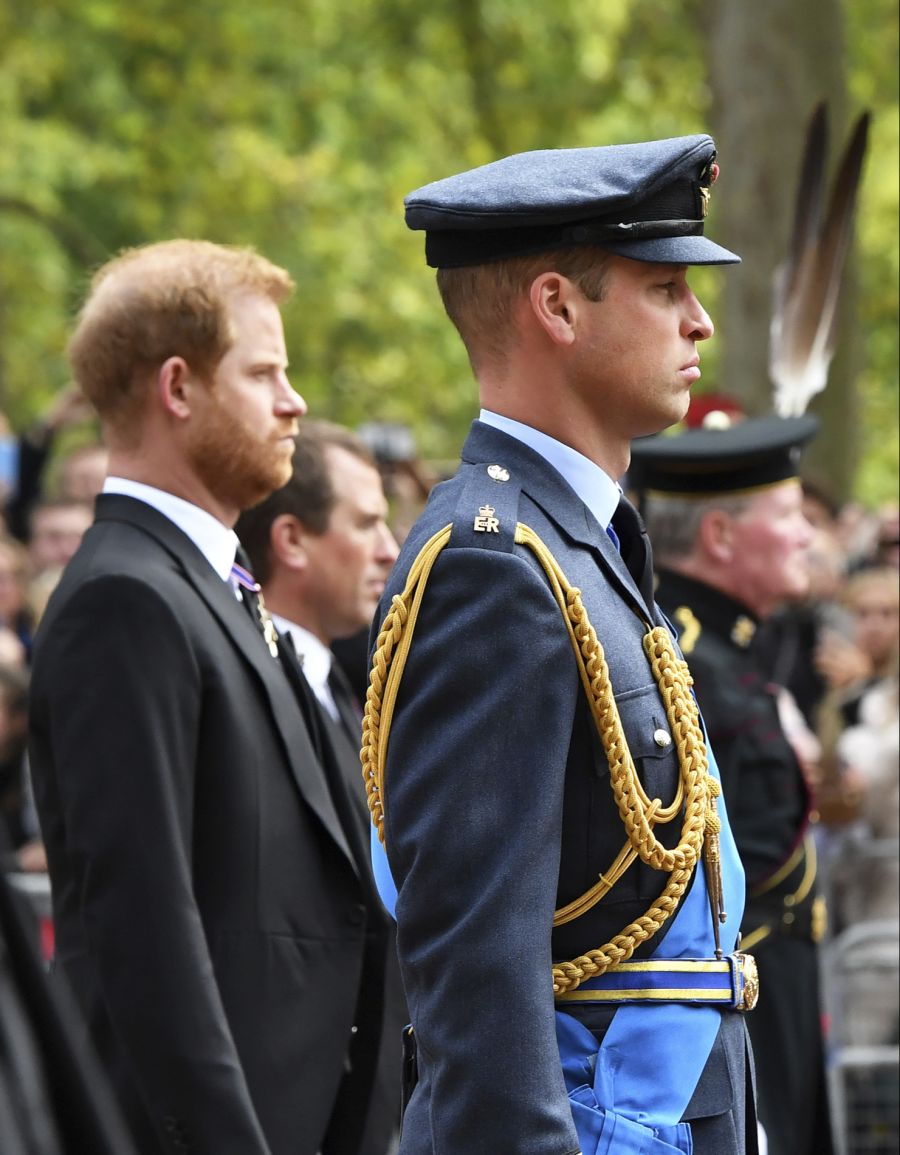 Prinz William
