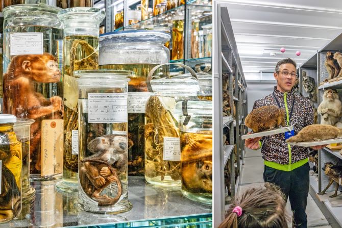 Ein Grossteil der Nasssammlung ist in der Ausstellung «Wunderkammer» zu sehen.