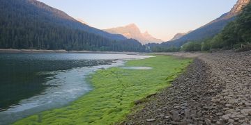 Sufnersee