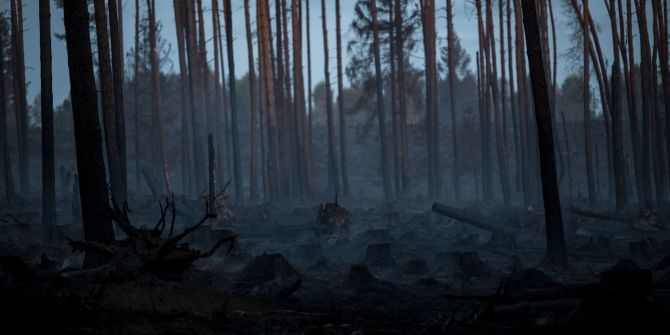 Waldbrand Ostdeutschland