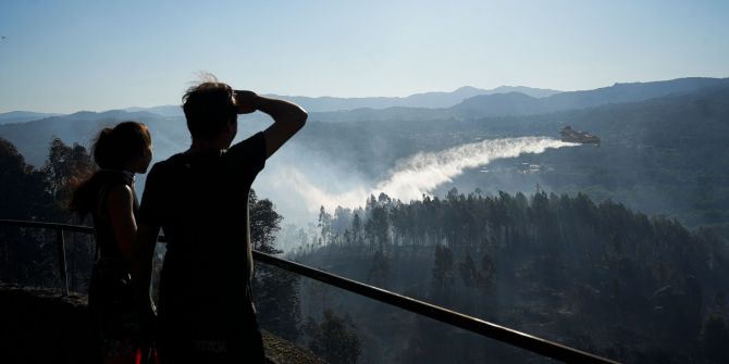Waldbrand