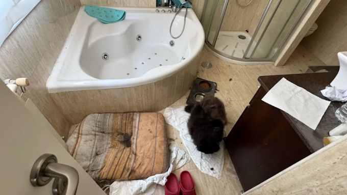 In diesem kleinen Bad war offenbar ein Platz für die kranke Katze eingerichtet, die von den Polizisten entdeckt wurde Foto Spanien Polizei