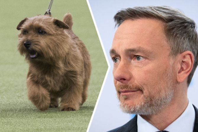 christian lindner